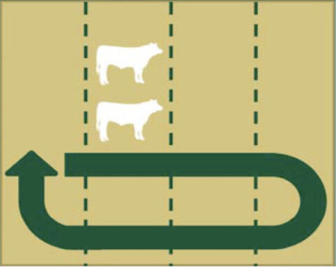Illustration of strip grazing method described in the Strip Grazing section.
