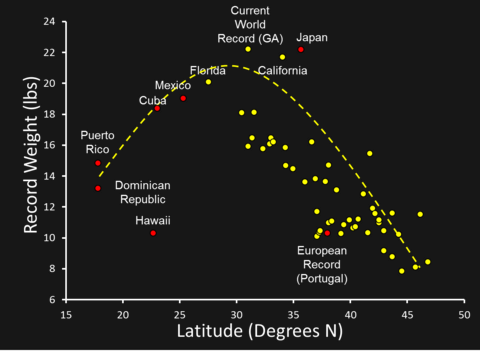 Image described in text.
