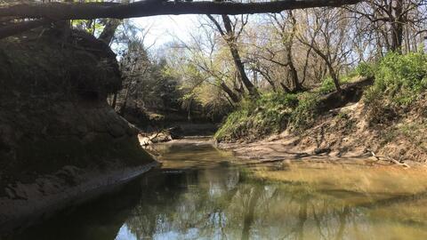 Streambed.