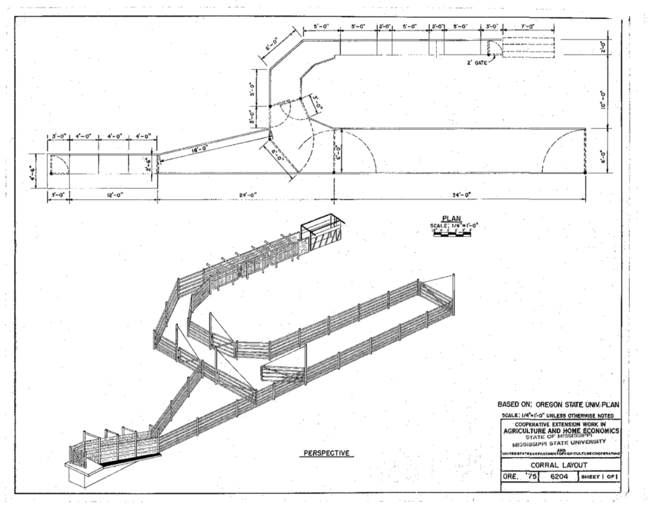 Preview of 6204