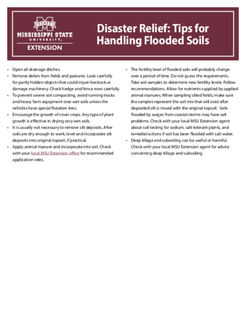 Preview of P3817_web.pdf