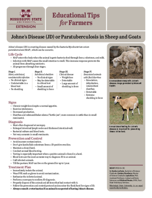 Preview of M2507_web.pdf