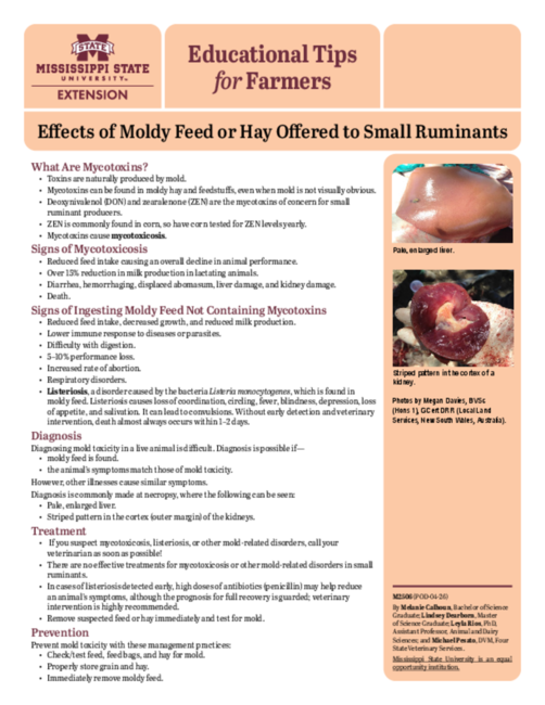 Preview of M2506_web.pdf