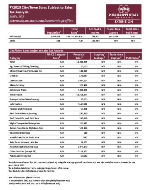 Preview of Sallis_city_retail_analysis