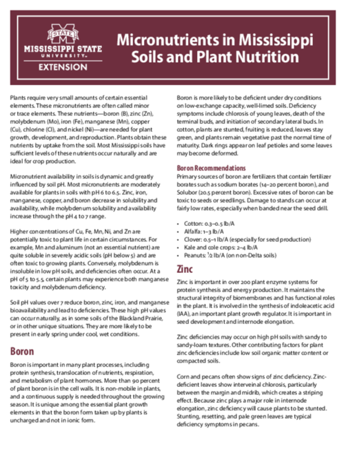 Preview of P3726_web.pdf