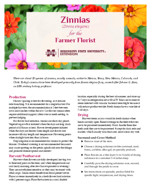 Preview of P3765_web.pdf