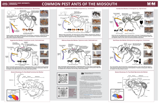 Preview of P4185_web.pdf