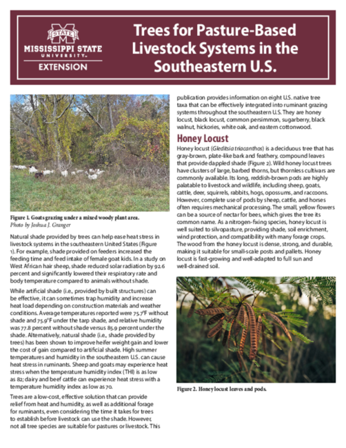 Preview of P4192_web.pdf