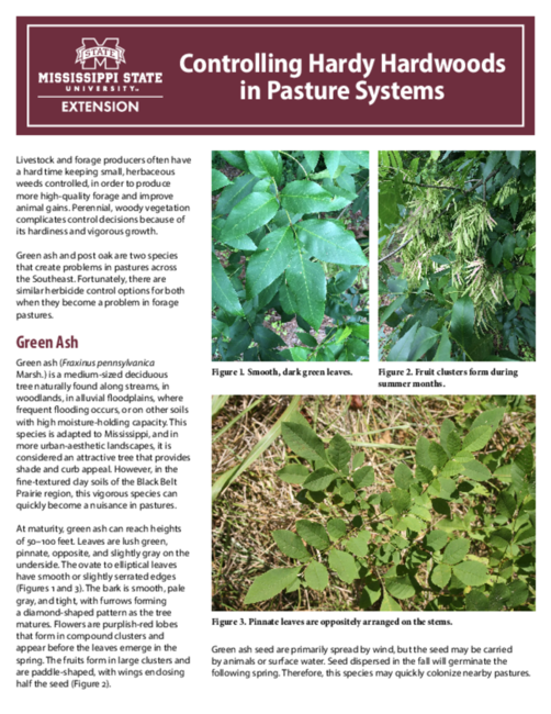 Preview of p3052