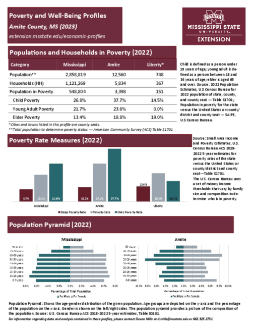 Preview of amite_poverty_profile