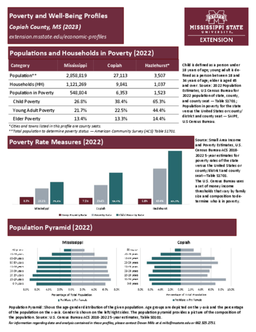 Preview of copiah_poverty_profile