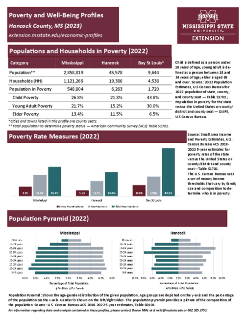 Preview of hancock_poverty_profile