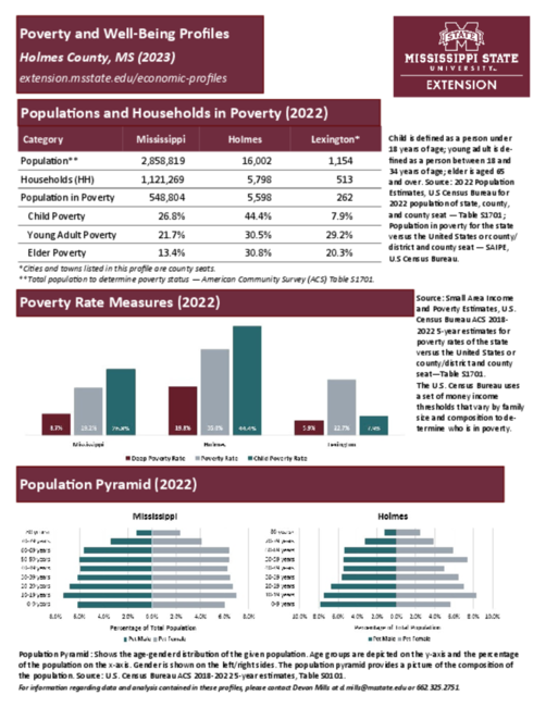 Preview of holmes_poverty_profile