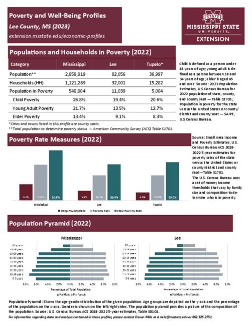 Preview of lee_poverty_profile