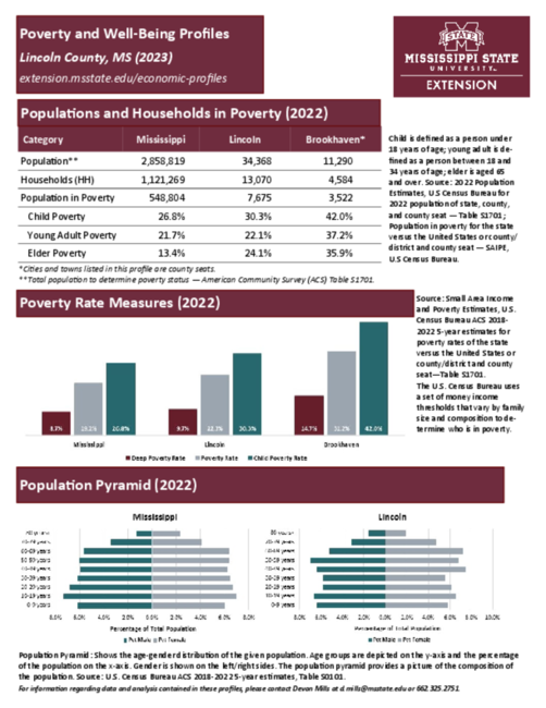 Preview of lincoln_poverty_profile