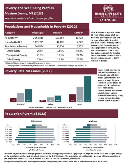 Preview of madison_poverty_profile