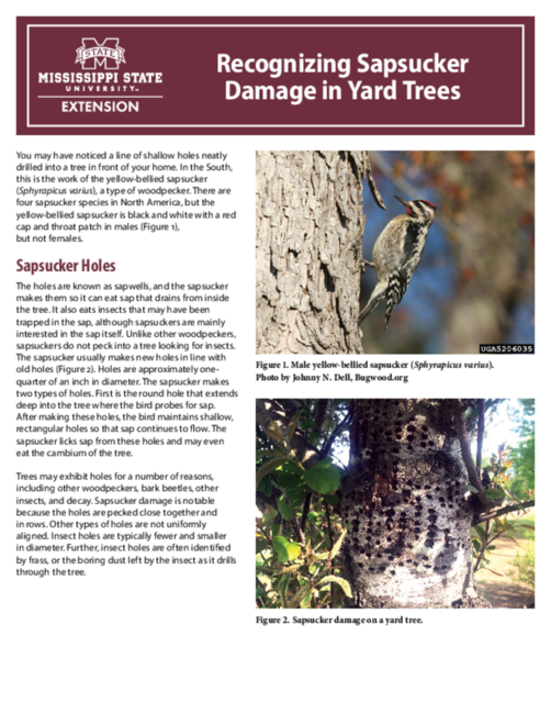 Preview of P3302_web.pdf