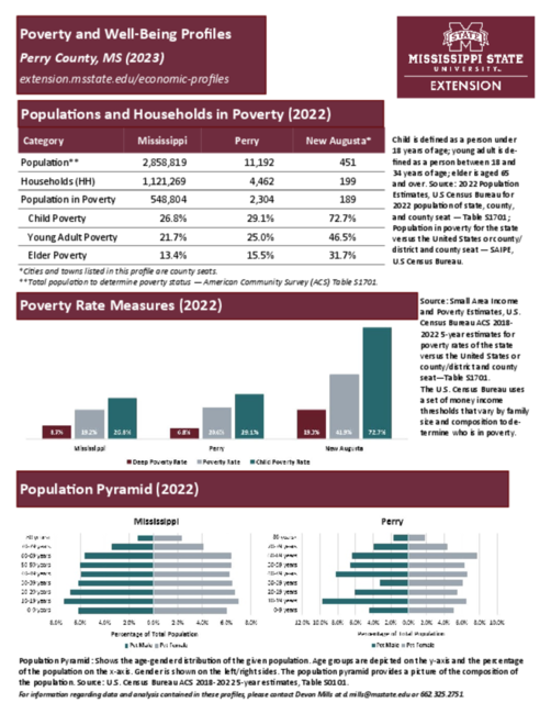 Preview of perry_poverty_profile