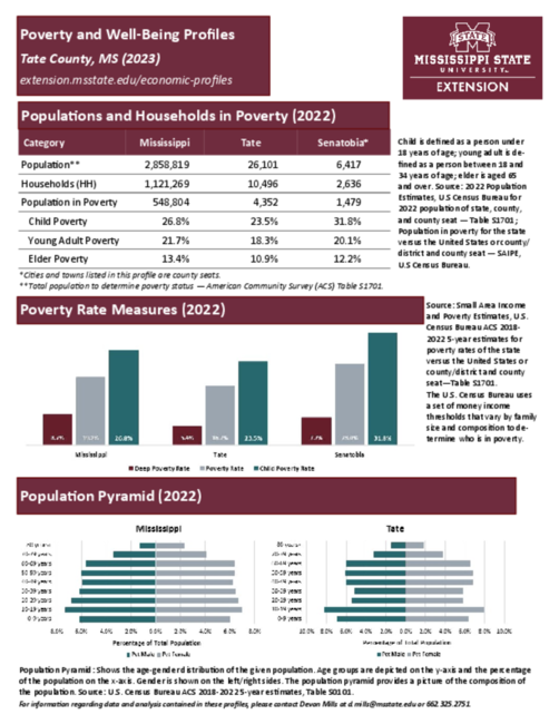 Preview of tate_poverty_profile