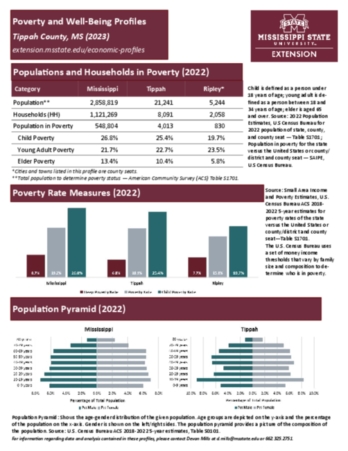 Preview of tippah_poverty_profile