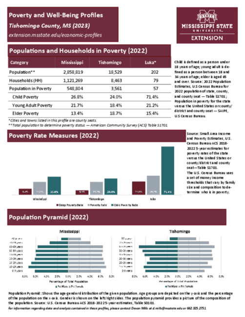 Preview of tishomingo_poverty_profile
