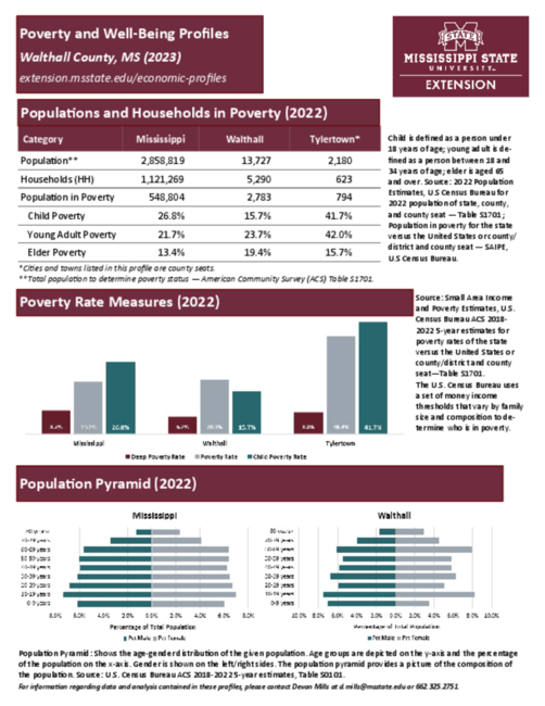 Preview of walthall_poverty_profile