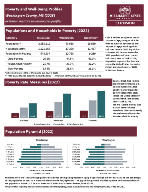 Preview of washington_poverty_profile