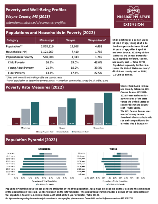 Preview of wayne_poverty_profile
