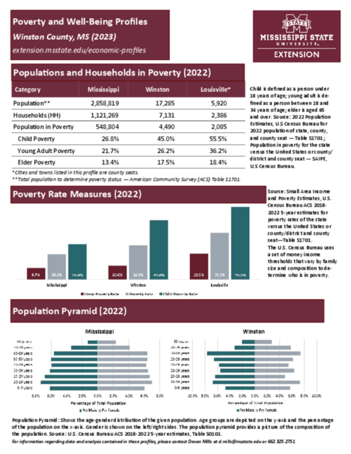 Preview of winston_poverty_profile