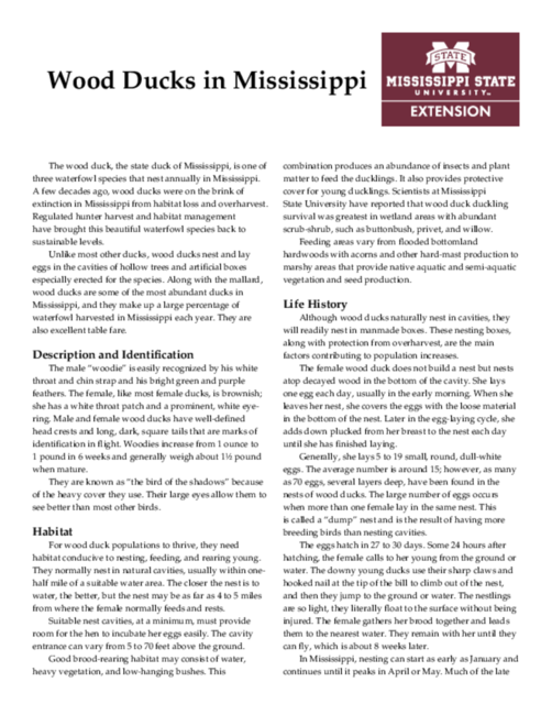 Preview of IS643_web