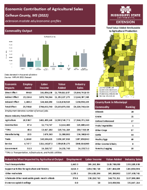 Preview of calhoun_county_ag_sales