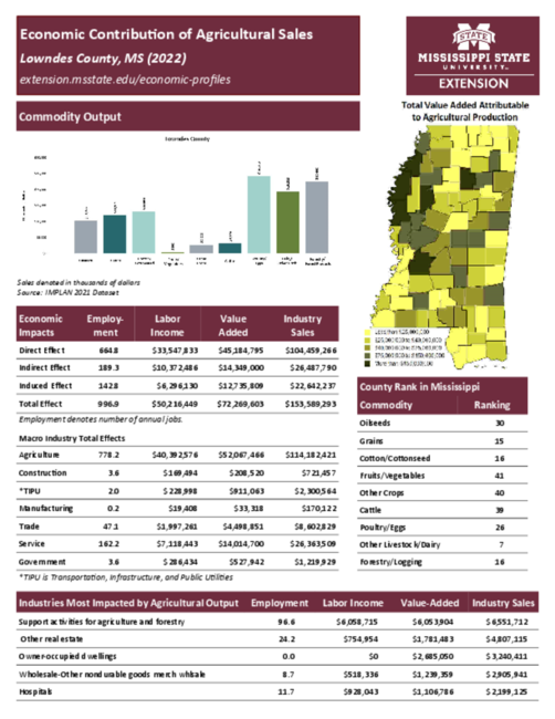 Preview of lowndes_county_ag_sales