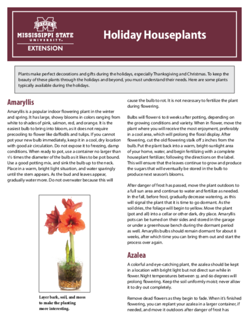 Preview of P2309_web.pdf