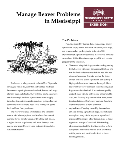 Preview of IS1655_web