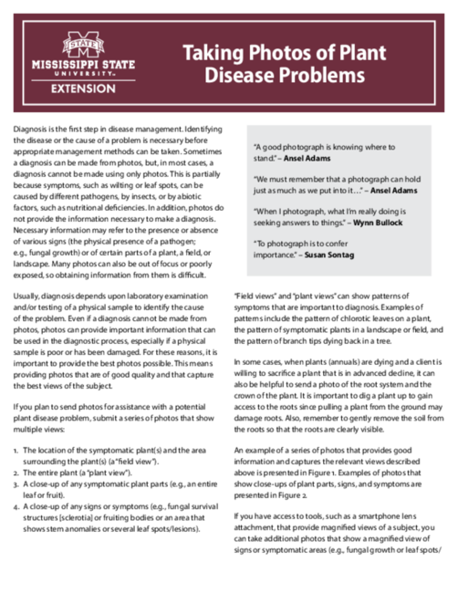 Preview of P3022_web