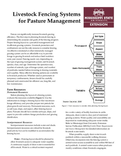 Preview of P2538_web