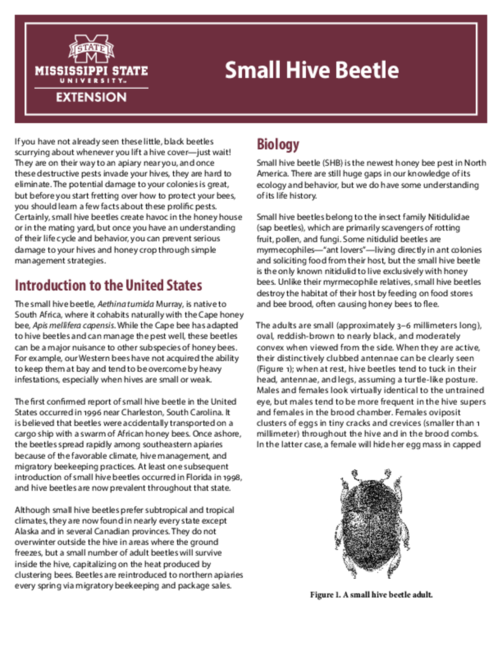 Preview of P2825_web