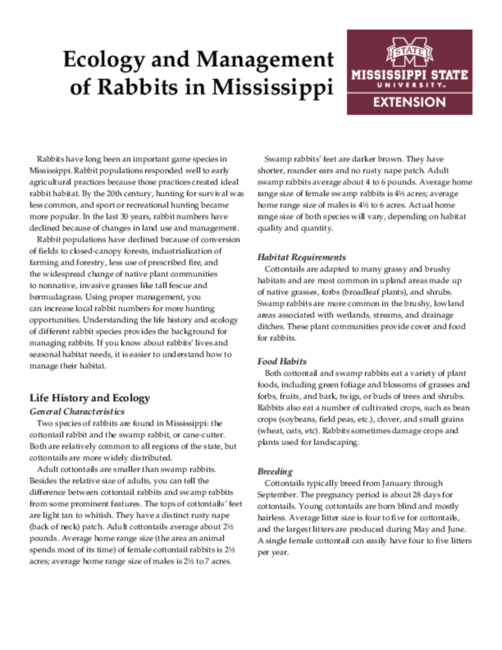 Preview of P2467_web