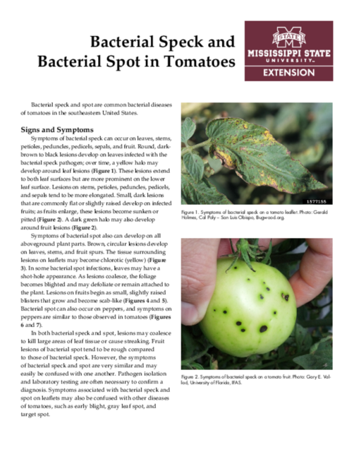 Preview of P3361_web