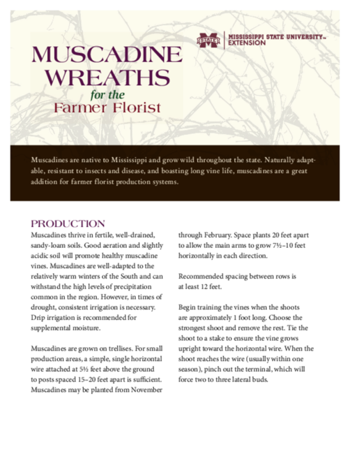 Preview of P3387_web