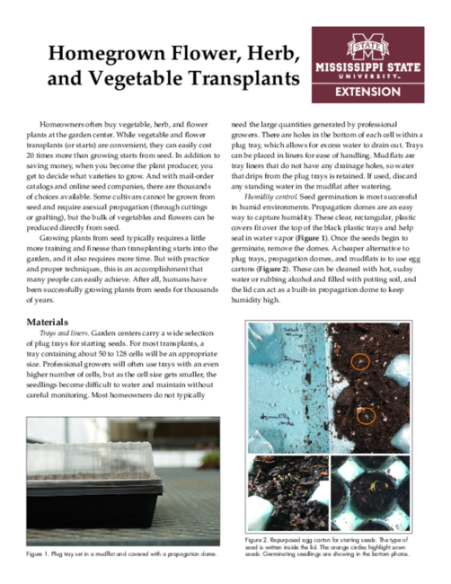 Preview of P3436_web