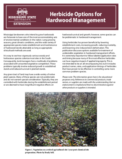 Preview of P2873_web