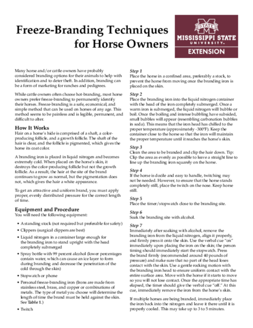 Preview of P3462_web