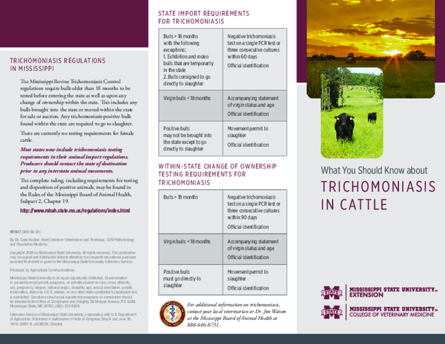 Preview of BRO_M1647_TrichomoniasisCattle_062020_web
