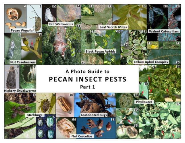 Preview of P4197_web.pdf
