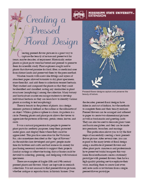 Preview of P3513_web