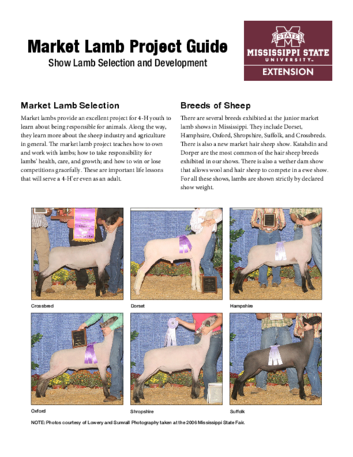 Preview of P2479_web