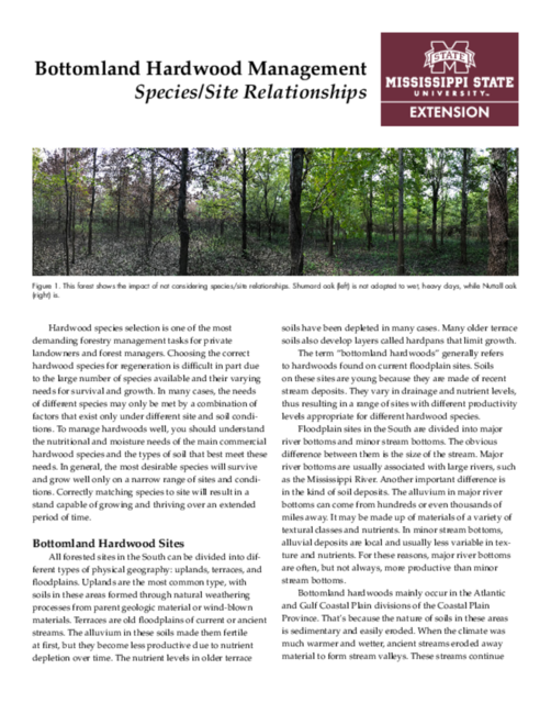 Preview of P2004_web