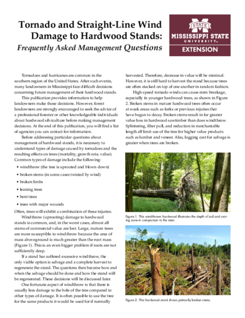 Preview of P2683_web