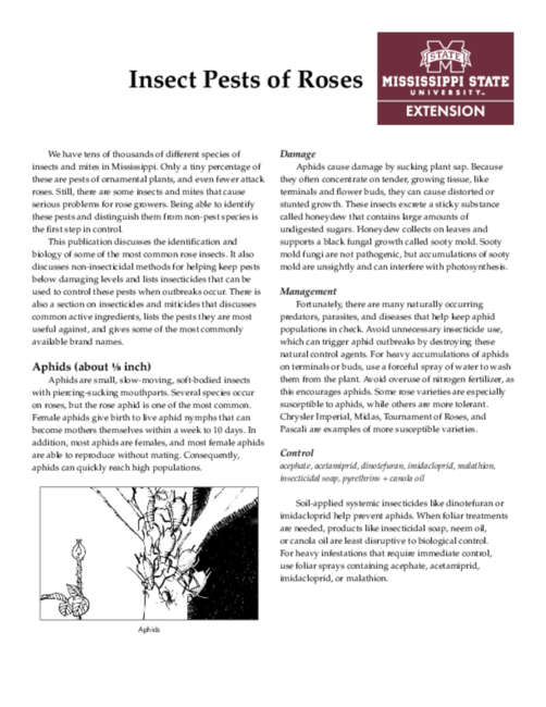 Preview of P2472_web
